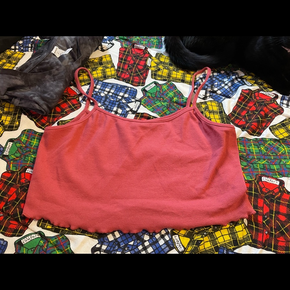 Scallop bottom crop top